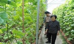丹东吃瓜最新事件爆料是真的吗,最新爆料真相揭秘