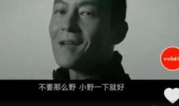 罗永浩爆料片段视频集锦,揭秘科技圈幕后故事