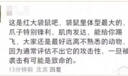游客视频爆料文案范文大全,捕捉旅途精彩瞬间