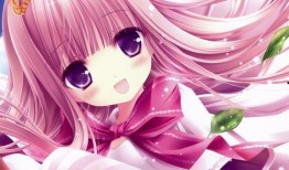 三少爆料动漫视频大全,动漫视频大全背后的精彩故事