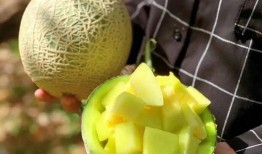 娱乐吃瓜壁纸图,吃瓜群众眼中的明星幕后故事