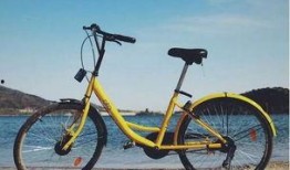 清远小黄车最新爆料信息,揭秘运营幕后真相与未来走向