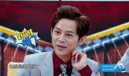 何炅王嘉尔圈内爆料视频,独家爆料视频大揭秘