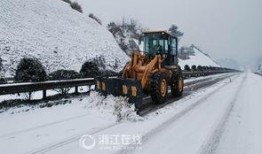 融雪在线观看,冬日暖阳下的温情故事