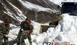 融雪在线观看,冬日暖阳下的温情故事