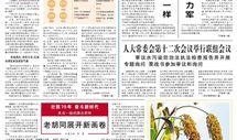 人民日报爆料新闻,揭秘真相，引发社会关注