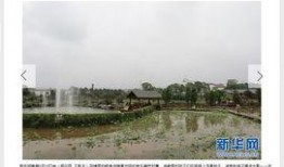 吉州区新闻爆料,突发事件引发关注，详情即将揭晓