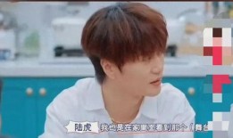 苏醒爆料陆虎视频播放全集,全程揭秘事件真相