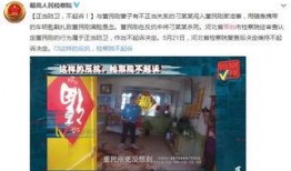 邢台一中爆料事件视频,真相与争议交织的校园风云