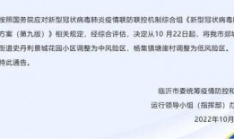 临沂市新闻线索爆料,爆料揭示惊人真相，市民关注焦点聚焦！