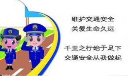 行车安全爆料图片高清视频,高清视频揭示惊险瞬间