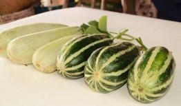 网红瓜怎么吃,轻松解锁美味新境界