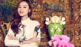 秀姐东坡爆料视频大全集,揭秘娱乐圈幕后真相