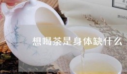 喝茶爆料最新,喝茶爆料背后的惊人真相