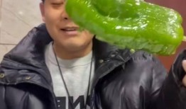 网红高赫吃瓜,揭秘网红圈背后的那些事儿