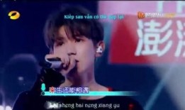 我们歌曲视频在线观看,歌曲视频在线观看的视听盛宴