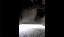 速腾最新爆料视频大全