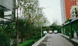 石家庄公园爆料视频最新,揭秘公园里的惊人秘密！