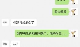 聊天爆料娱乐圈,揭秘明星背后的故事与真相