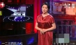 爆料福州二小姐视频大全,揭秘网络红人的魅力瞬间