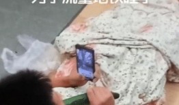 网红吃瓜睡觉,揭秘网络红人的日常娱乐生活