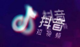 抖音网红师尊爆料视频大全,揭秘幕后故事与精彩瞬间