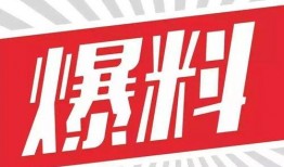 新闻爆料文字素材,新闻爆料背后的真相与影响
