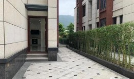 广东中山三乡爆料新闻,事故现场紧急救援，详情待进一步调查