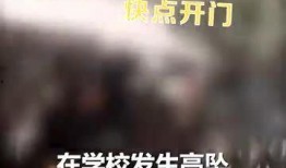 坠楼老师爆料视频大全最新