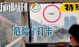 新闻爆料文字素材,新闻爆料背后的真相与影响