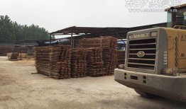 吉林木材厂爆料视频,揭露行业黑幕，揭秘真相！