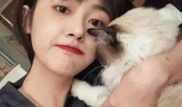 猪哥爆料小楠视频大全最新