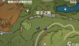 原神妮露最新爆料材料