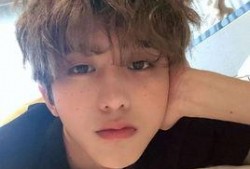 娱乐圈爆料白鲨是谁呀,揭秘“白鲨”真实身份之谜