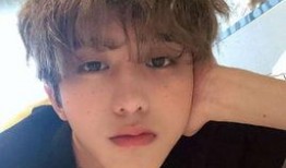 娱乐圈爆料白鲨是谁呀,揭秘“白鲨”真实身份之谜