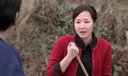 乡村老陈前妻爆料视频,揭秘婚姻背后的惊人真相