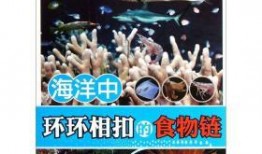 食物链在线观看手机版,手机端带你领略生态链的奇妙之旅