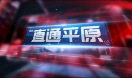 新乡今日爆料新闻直播,“新乡突发！今日直播揭秘重大新闻事件”