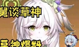 草神爆料动画视频完整版,神秘力量觉醒，奇幻冒险之旅即将展开