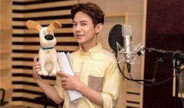 上海何炅最新爆料,揭秘娱乐圈不为人知的一面