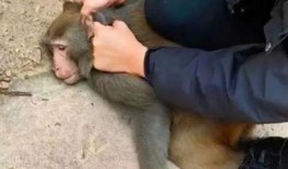 网红吃老汉瓜是谁,引发网友热议！