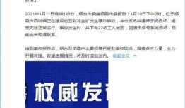 聊城最新事件爆料新闻,揭秘背后真相，引发社会广泛关注