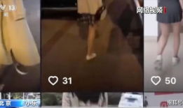 青海酒店被打女孩视频爆料最新,真相与反思