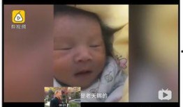 吃人奶电影在线观看,禁忌之恋的惊悚揭秘