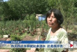 乡村老陈前妻爆料视频,揭秘婚姻背后的惊人真相