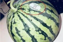 盘点网红吃瓜,盘点娱乐圈最新热点事件