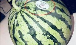 盘点网红吃瓜,盘点娱乐圈最新热点事件
