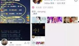 娜美仙家爆料视频播放大全,揭秘幕后真相与精彩瞬间