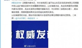 聊城最新事件爆料新闻,揭秘背后真相，引发社会广泛关注