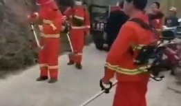 桂平山火灾最新爆料,火势控制与救援行动纪实